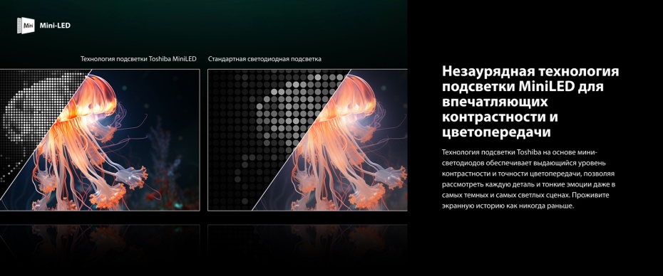 Toshiba Z680SE: MiniLED-телевизор с частотой 144 Гц для любого контента